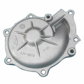 Sandblasting Customized Aluminium Die Casting Parts For Water Pump House Body